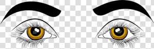 Angry Anime Eyes Png   Clipart Picture Of Eyes  Transparent Png