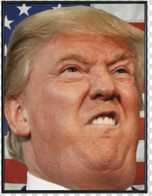 Donald Trump S Face V2   Donald Trump Come Face  HD Png Download