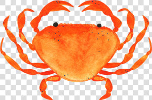 Freckled crab  HD Png Download