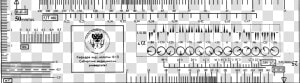 Ecg Ruler   Free Printable Ecg Ruler  HD Png Download