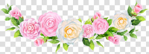 Flores Con Fondo Transparente  HD Png Download