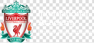 Liverpool Fc   Png Download   Liverpool Fc  Transparent Png