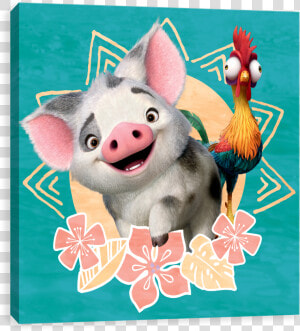 Pua Moana Png  Transparent Png