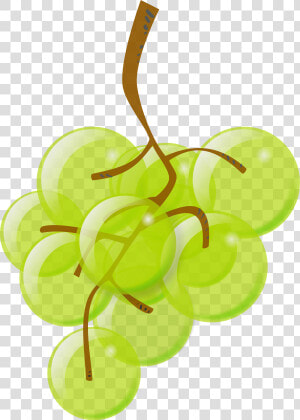 Plant leaf grapevine Family   Green Grape Clipart  HD Png Download