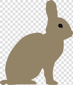 Rabbit By Rones   Snowshoe Hare Clipart  HD Png Download