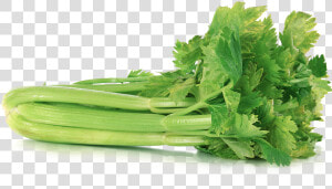 Celery Transparent Png   Green Colour Vegetables Name  Png Download