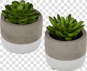 Stone Pots For Succulents  HD Png Download