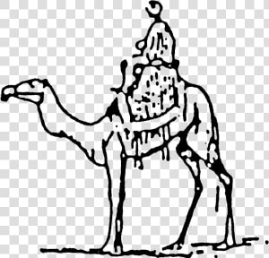 Cart Drawing Camel   Camel With Rider Line Art  HD Png Download