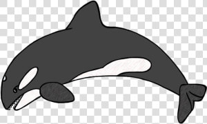 Killer Whale Drawing For Kids   Orca Clipart  HD Png Download