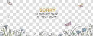 No Product   No Product Found  HD Png Download