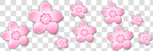  pink  pinkflowers  flowers  crown  png  cute  sticker   Transparent Blue Aesthetic Stickers  Png Download