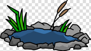 Transparent Koi Pond Clipart   Club Penguin Pond  HD Png Download