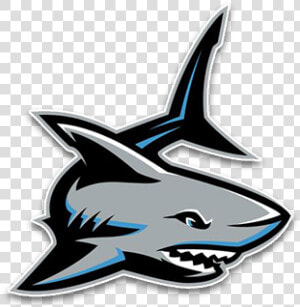 Alvin Shadow Creek Sharks Football Data Srcset Https   Shadow Creek High Logo  HD Png Download