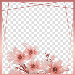  ftestickers  flowers  frame  borders  rosegold  pink   Rose Gold Border Transparent  HD Png Download