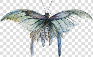 Copyright Sarah Jane Palmer   Mimicry Butterfly  HD Png Download