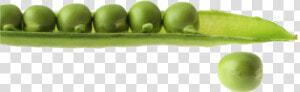 Pea Free Transparent Images   Snap Pea  HD Png Download