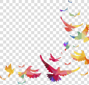 Birds Bird Borders Border Frame Frames   Bird Border  HD Png Download