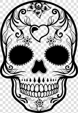 Line Art head skull   Day Of The Dead Skull Drawing  HD Png Download