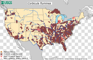 Habitat Of Zebra Mussels  HD Png Download