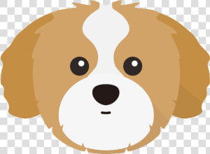 Transparent Shih Tzu Clip Art  HD Png Download