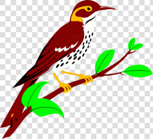 Brownish Red Thrush Free Stock Illustration Of   Clip Art  HD Png Download