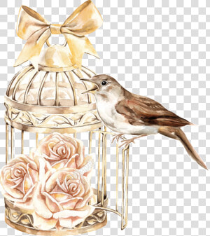 Classical Bird Cage Plant   Birdcage Anime Png  Transparent Png