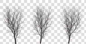 A Tree In Winter    Tree In Winter Png  Transparent Png