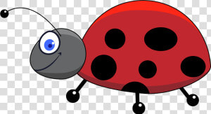 Transparent Ladybug Clipart   Ladybug Insect Drawing  HD Png Download