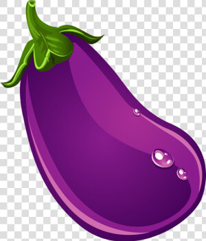 Hand Painted Eggplant Vector Png Download   Transparent Background Brinjal Clipart  Png Download