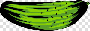 Dill Huge Freebie   Pickle Illustration Png  Transparent Png