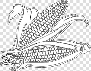 Transparent Corn Stalks Png   Corn Picture Black And White  Png Download