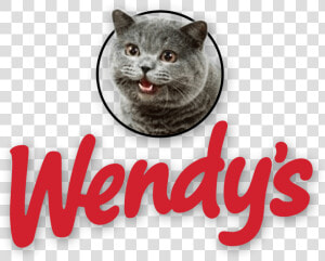 Wendy S Logo With Cheezburger Cat   Cat Eating At Wendy  39 s  HD Png Download