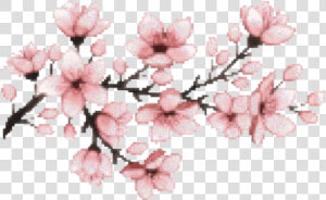  pink  sakura  tumblr  edit  freetoedit  rosa   Pixel Cherry Blossom Png  Transparent Png