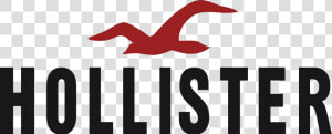 Thumb Image   Transparent Hollister Logo Png  Png Download