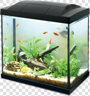 K30 Hailea Aquarium  30 L Black   Hailea K30  HD Png Download