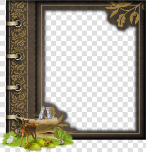 Cadre Nature Png   Picture Frame  Transparent Png