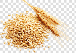 Cereal Grain Harvest   Cereal Rice Png  Transparent Png