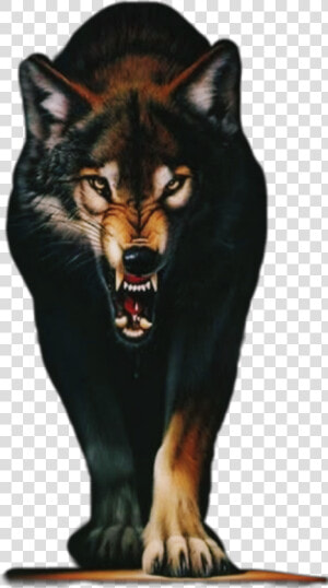  angry  wolf  animals  mouth   Angry Wolf Images Hd  HD Png Download