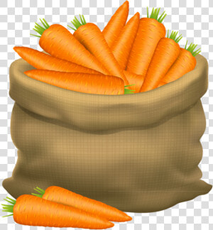 Fruit Clipart Food Item   Bag Of Carrots Clipart  HD Png Download