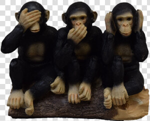 H1896 Chimps See hear say 5   Figurine  HD Png Download