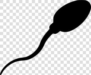 Sperm   Sperm Vector Png  Transparent Png