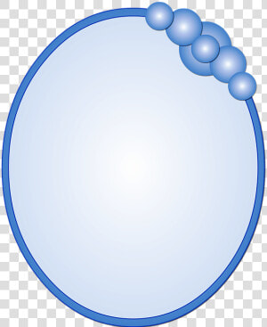 Oval  Azul  Moldura  Espelho  Círculo  Geométrico  HD Png Download