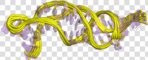 Pdb 1ymo Ebi   Le Terc Telomerase Rna Component  HD Png Download