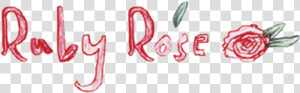 Rose Pedals Png  Transparent Png