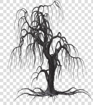 More Like Creepy Tree 11 By Wolverine041269   Creepy Tree Png  Transparent Png