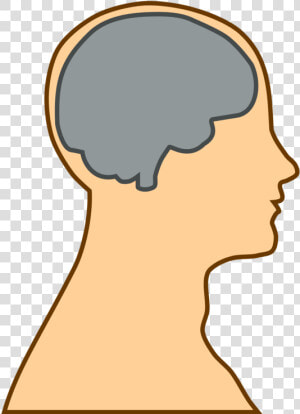 Brain  Thinking  Ideas  People  Person  Head  Body   Cartoon Head With Brain  HD Png Download