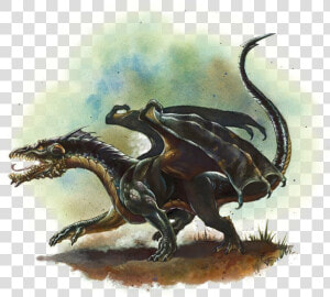 Dragons   D amp d 5e Black Dragon Wyrmling  HD Png Download