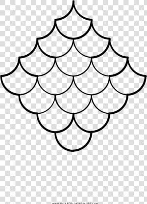 Fish Scales Coloring Page   Transparent Fish Scales Png  Png Download