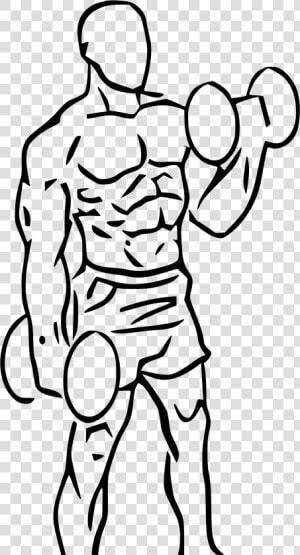 Collection Of Drawing   Dumbbell Curl Png  Transparent Png