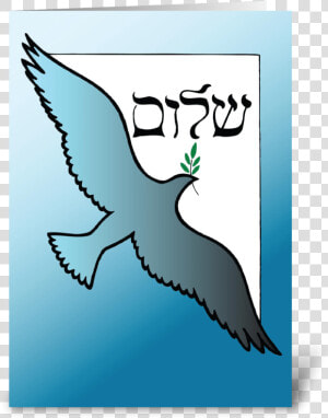 Shalom At Passover Dove Greeting Card   Bird Of Prey  HD Png Download